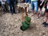 versteck
